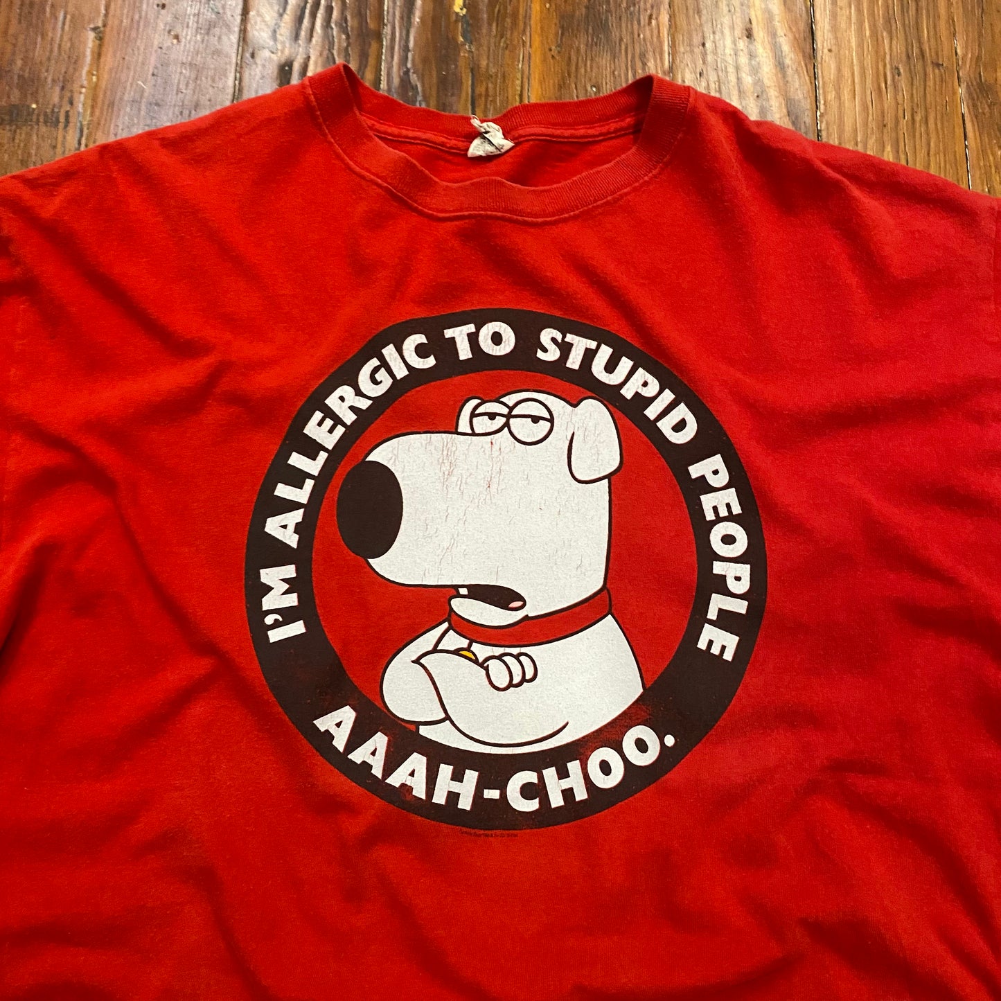 Vintage Brian Allergic To Stupid People Tee - XL
