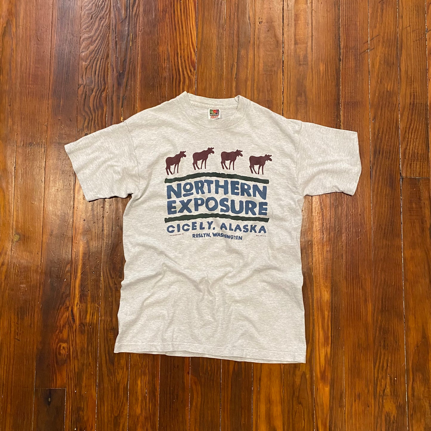 Vintage Northern Exposure Alaska Travel Tee - L