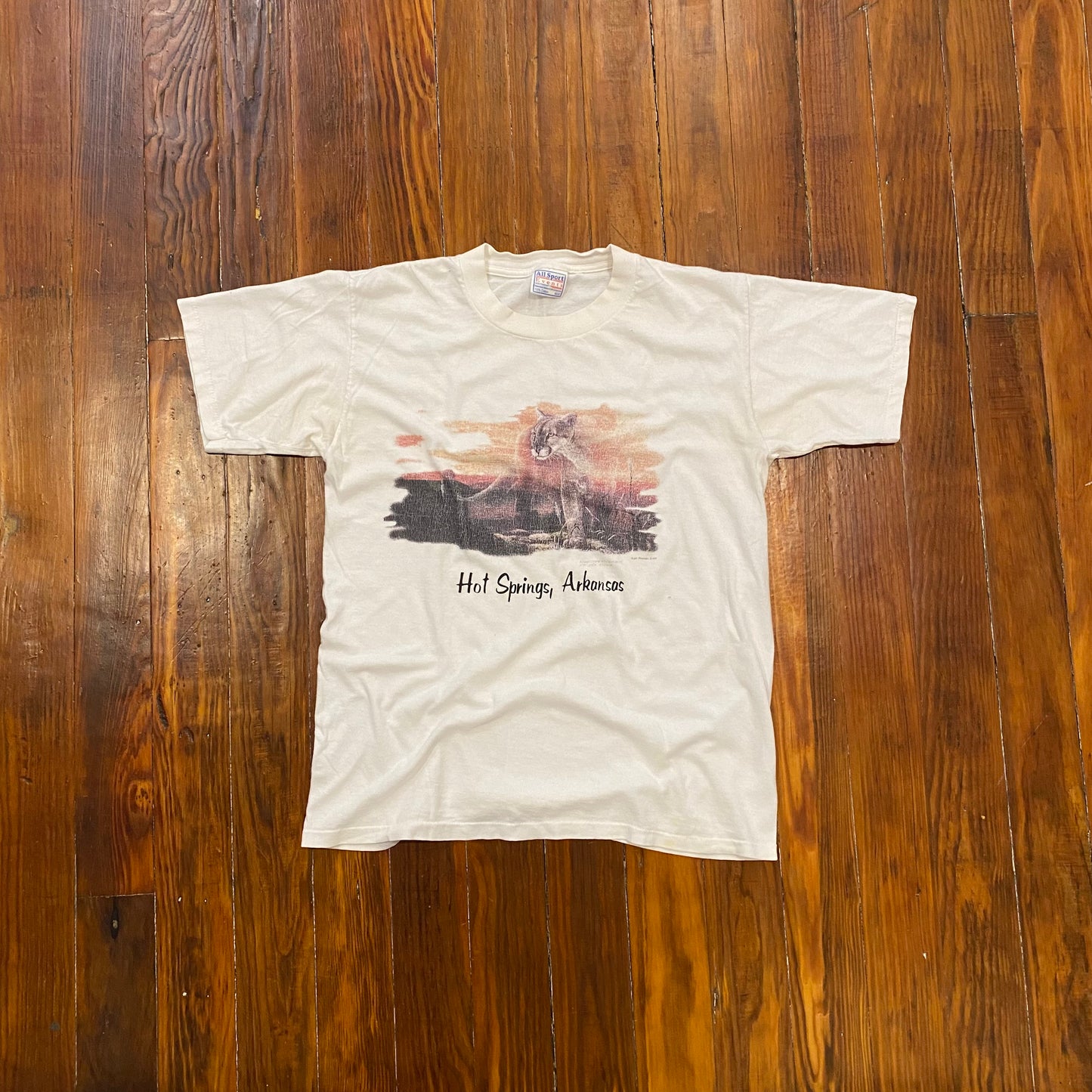 Vintage Cougar Hot Springs, Arkansas Tee - M